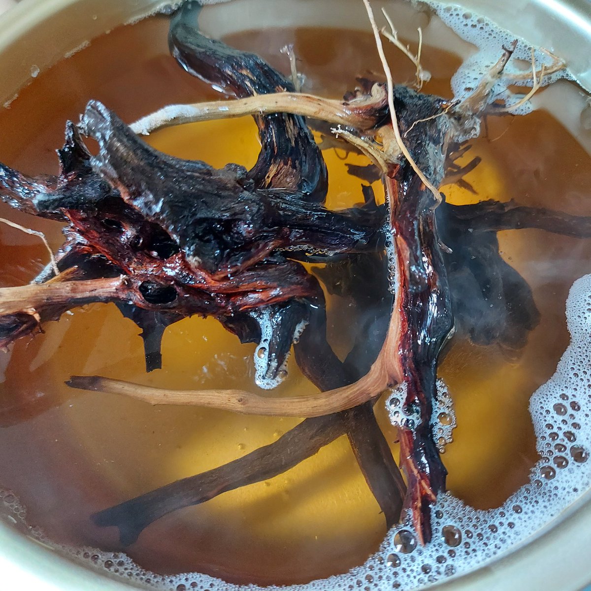 かぶとハウス ミニマル アクアリウムとミニマリスト 水槽で生き物を飼う行為は ノンミニマルかもしれません 暮らす上で必要最小限のモノ ではないですからね 一方で そこに生命活動が集約されている という意味では 実にミニマル的な かぶとハウス ミニマル アクアリウムとミニマリスト 水槽で生き物を飼う行為は ノンミニマルかもしれません 暮らす上で必要最小限のモノ ではないですからね 一方で そこに生命活動が集約されている という意味では 実にミニマル的な