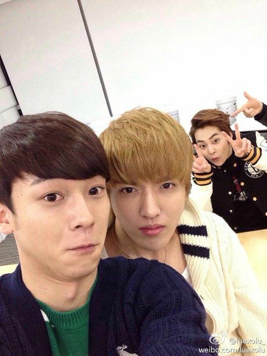 #CHEN #종대 #KRIS #XIUMIN