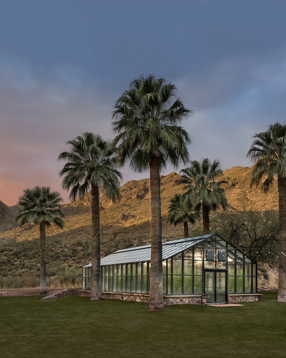 Greenhouse views to cap off your Monday!