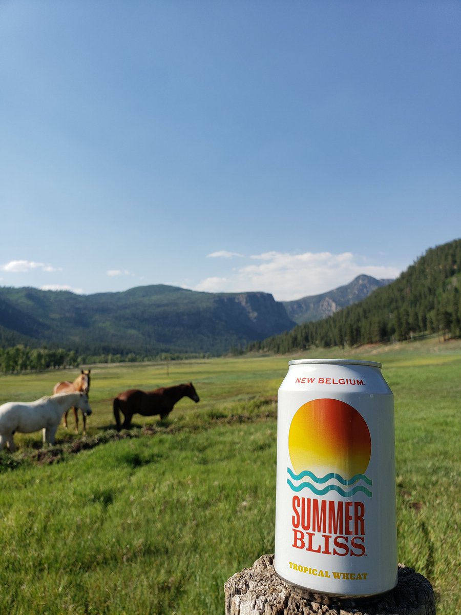 Accurate.

Good work, @Reifstyle, <a href="/andwoo/">Andrew</a>, and whoever else at <a href="/newbelgium/">New Belgium Brewing</a> worked on this one.