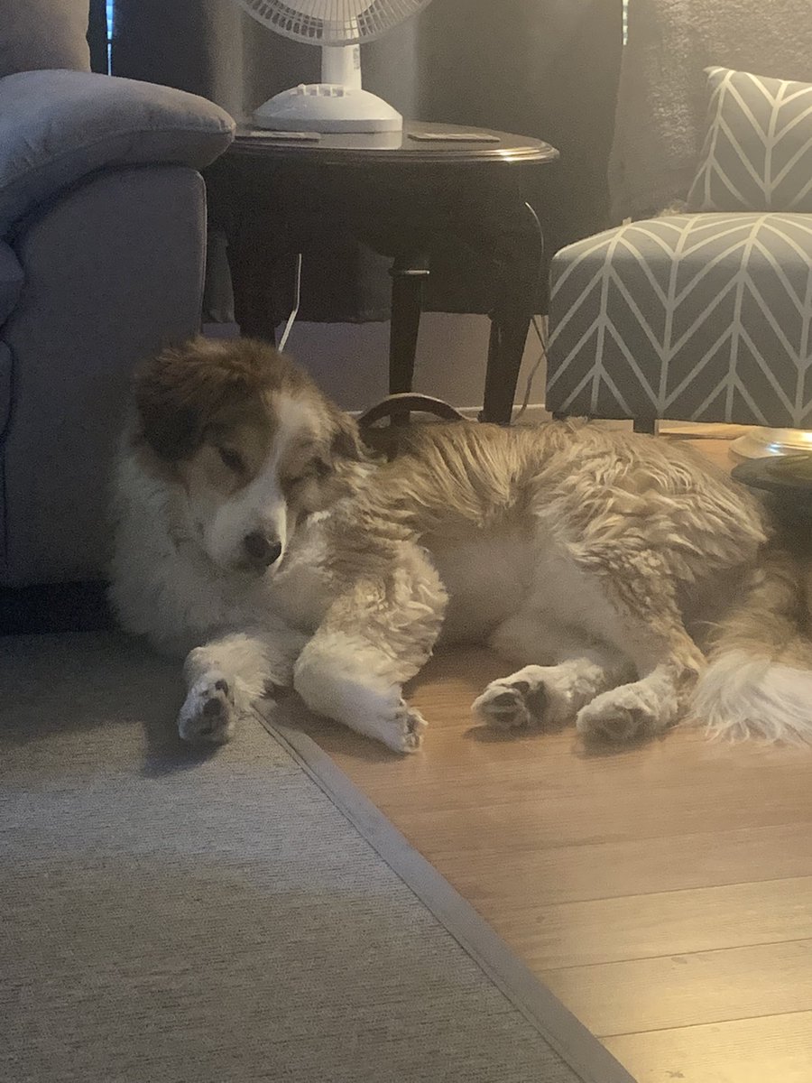 how does he find this comfortable