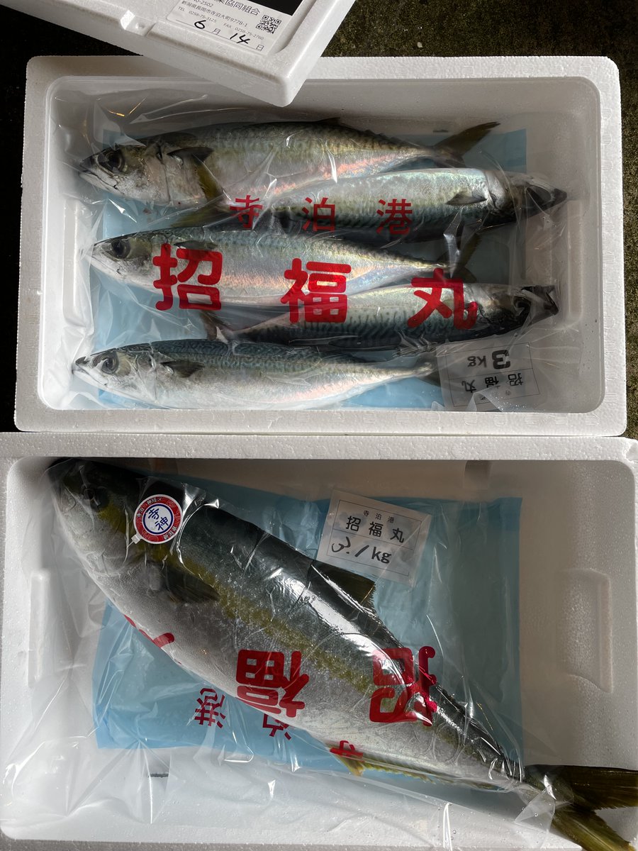 9e 80 Top Trending News