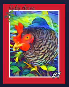 Ruby_Acres's tweet photo. Congratulations Apprentice @2D_HKH on winning our last giveaway.  Ruby is on her way to your inbox!  Thank you to everyone that is supporting our cause. https://t.co/RewSo5jYBG