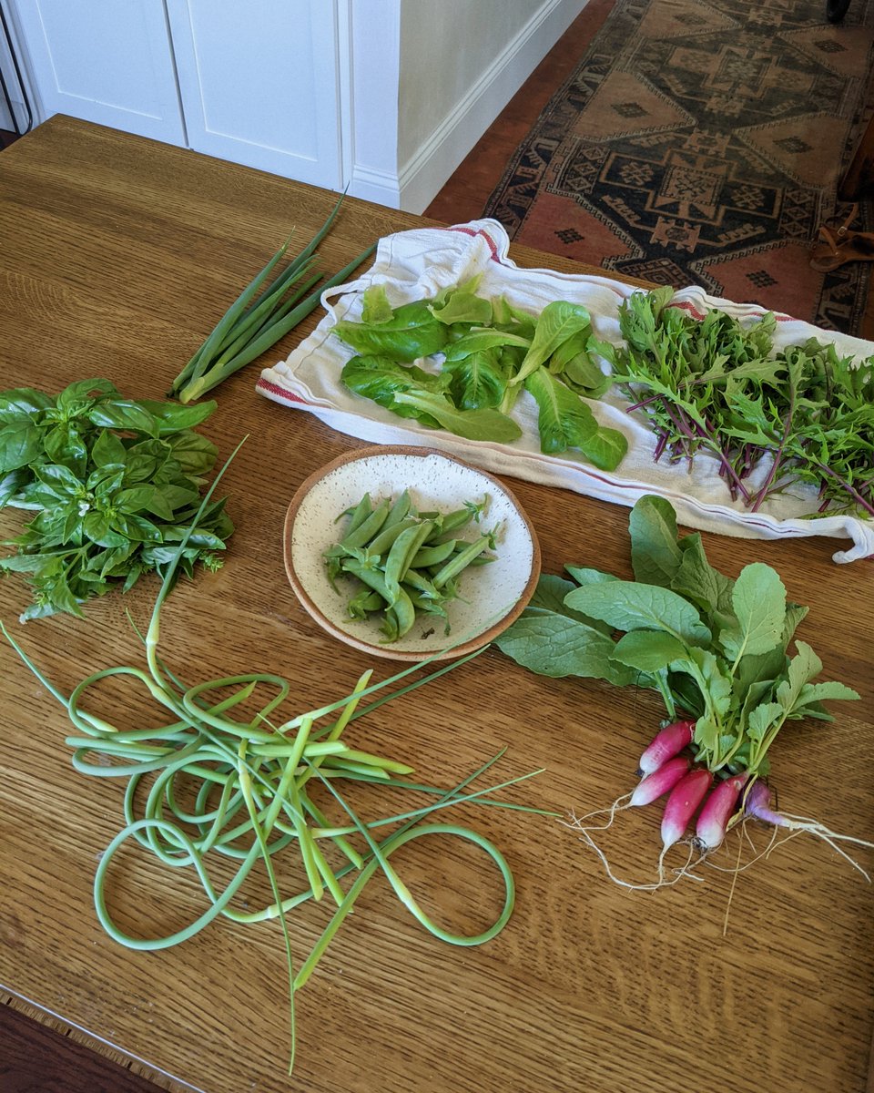 simonsarris's tweet image. June in New Hampshire