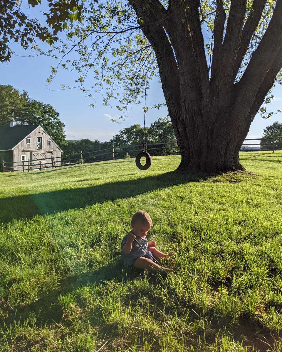 simonsarris's tweet image. June in New Hampshire