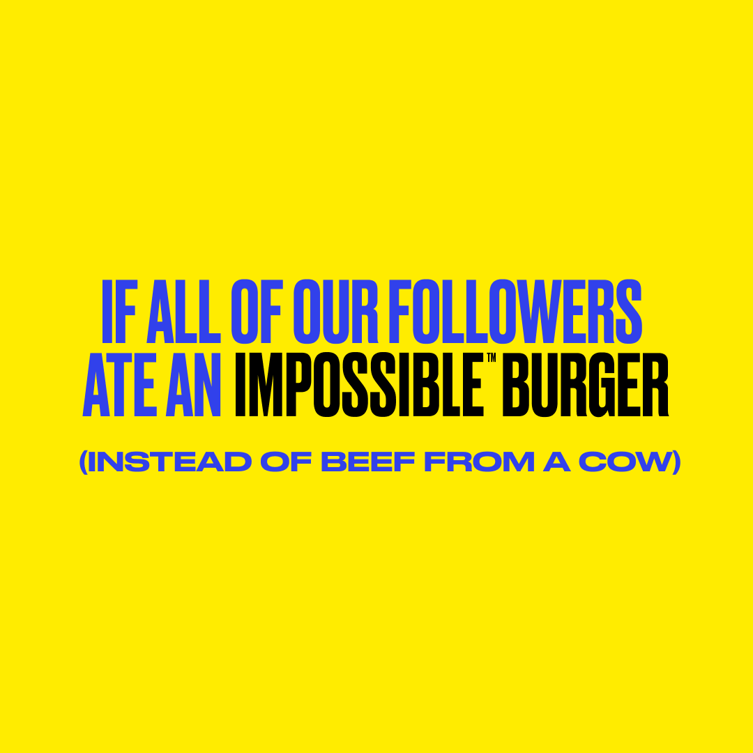 ImpossibleFoods's tweet photo. Leave it all on the court. See what "sustainable" really means #CookImpossible.
📸 @MadmadeDesign, Basil & Bunny (Instagram: basilandbunny) https://t.co/Wo2XmjryGf