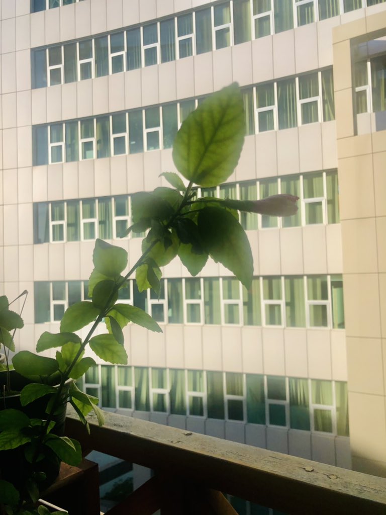 IruthishamAdam's tweet photo. #Alhamdulillah #tuesdayvibe #StayHomeStaySafe #stateofnature #StateCaptureInquiry #StateofSurvival #ErosionOfSovereignity #WeakState #DeclineOfEconomy #industriesAndBusinessSufferings #riseofunemployment #JoblessAndPeopleInDebts #PoorestInSocietyIsHardestHit 👁🧶👮♀️@Countdown ⚽️ https://t.co/nMqgbO2qw6
