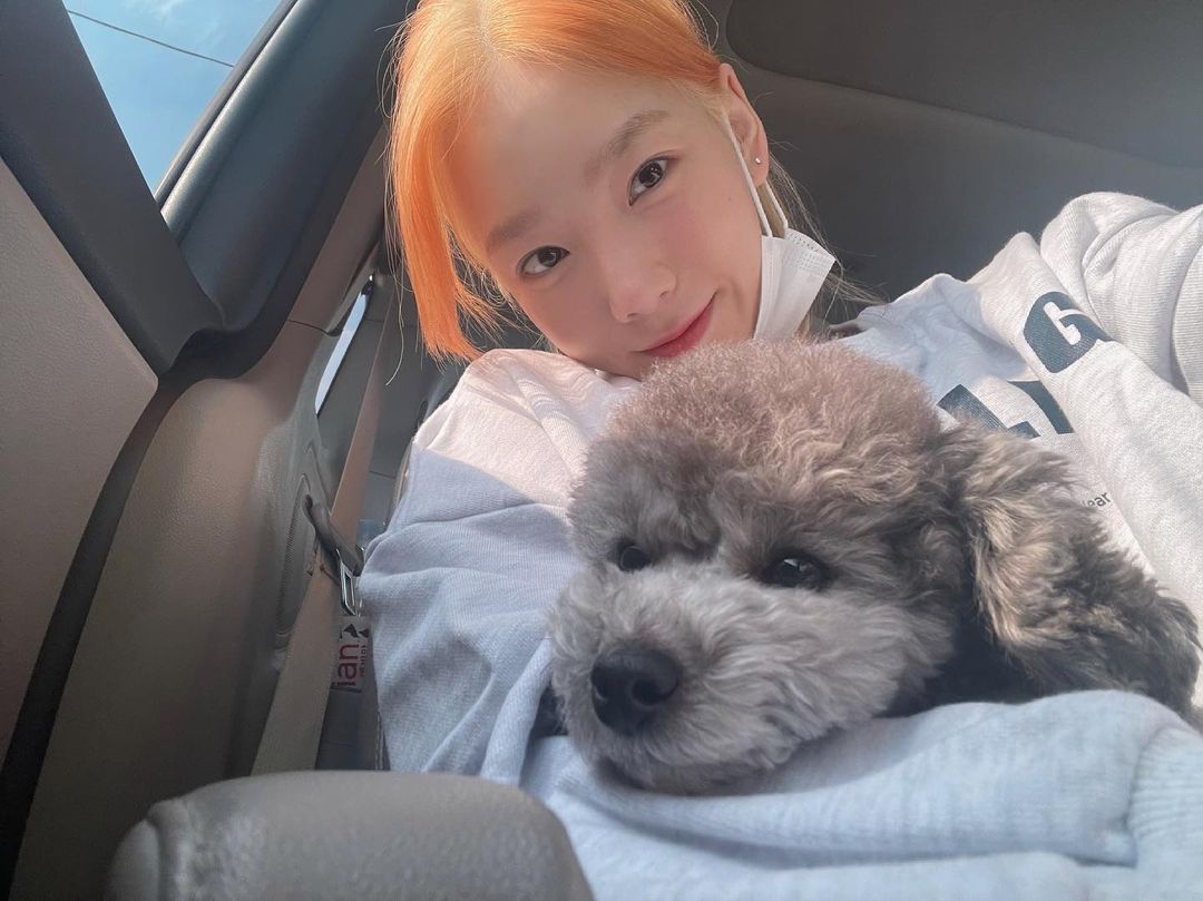 taengstagram309's tweet photo. [210615 INSTAGRAM] taeyeon_ss

👩🏻‍🦰✨
 https://t.co/JHTPFxkss9 #SNSD #GirlsGeneration https://t.co/wqaIbhXfZU