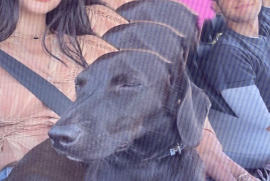 duamils's tweet photo. si cierro los ojos no existen los haters https://t.co/vGIJzwqz15