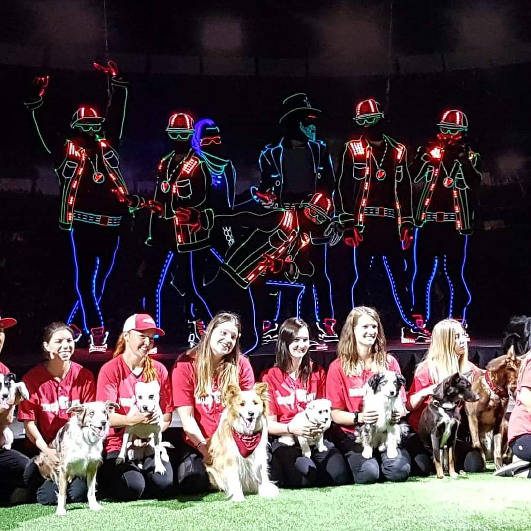 CanineStars's tweet photo. Remember when The Canine Stars performed with Light Balance at the Calgary Stampede?
WHAT A SHOW!!!
@LightBalanceOfficial @lightbalance #lightbalance #agt @agt #calgarystampede #dogbowl @calgary @calgarystampede #calgarydogs #dogshow #stuntdogshow https://t.co/JlBG7SjIBe