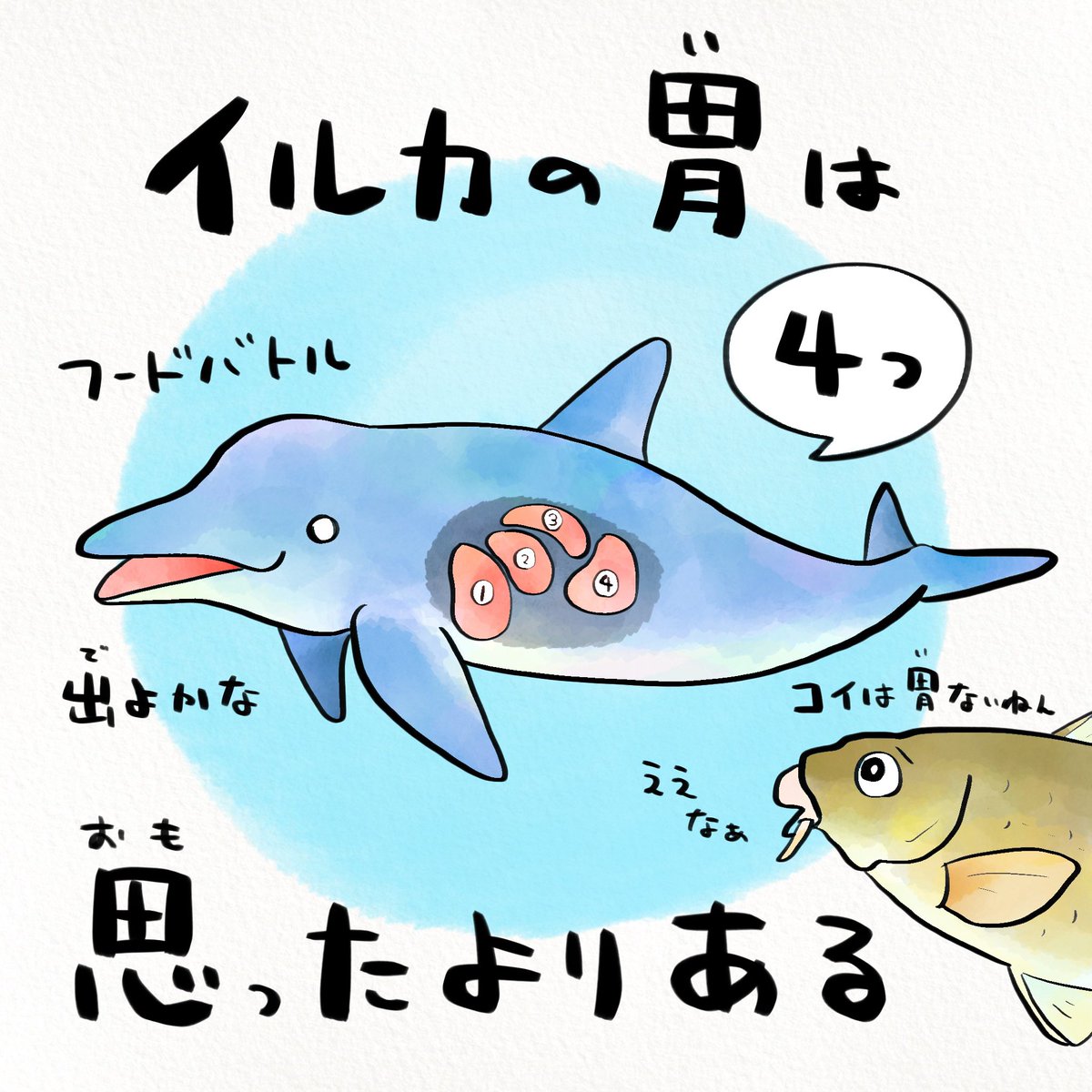 イルカショー のイラスト マンガ作品 25 件 Twoucan