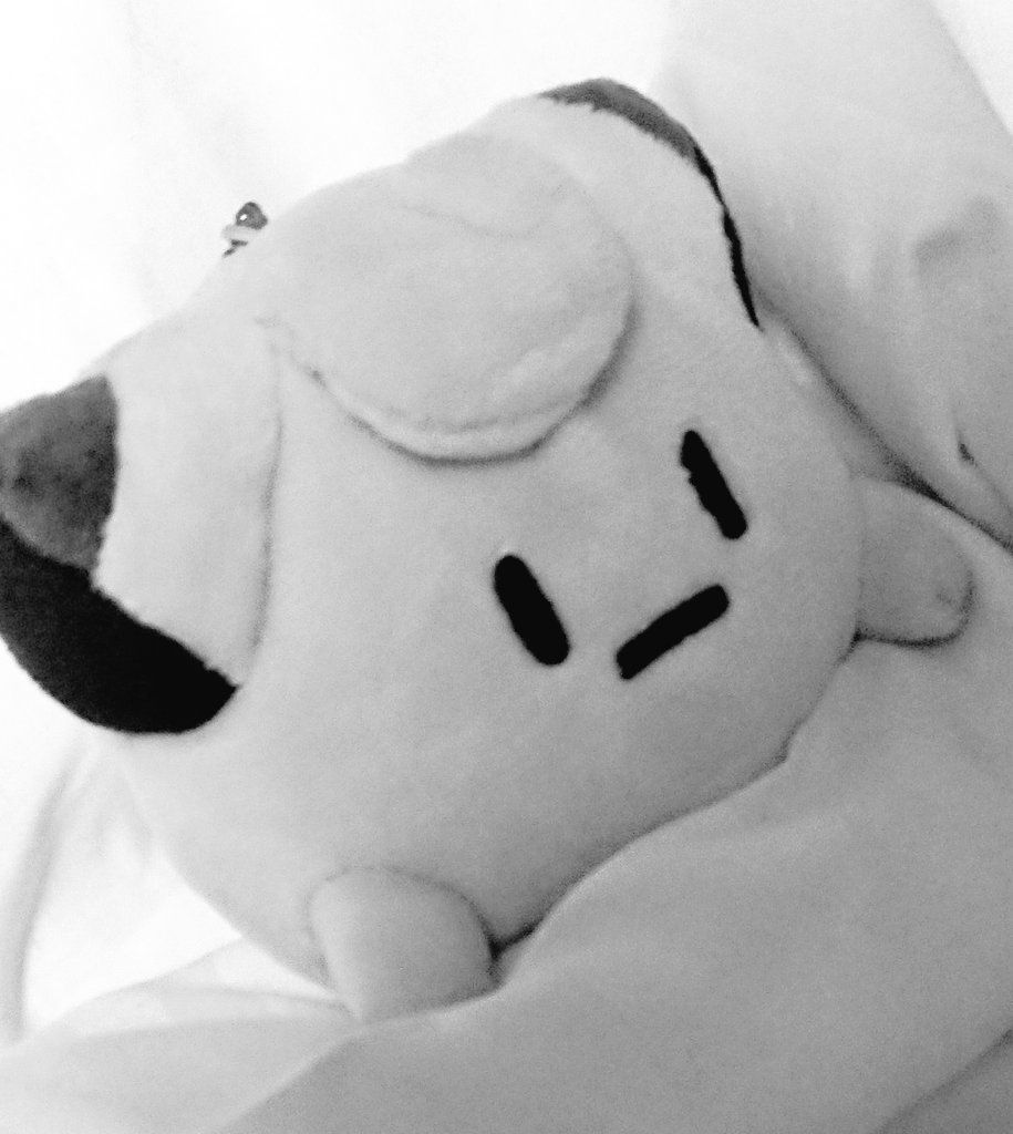 ピッピにんぎょうニキ Pokedoll Bro Pokedollb Twitter ピッピにんぎょうニキ Pokedoll Bro Pokedollb Twitter