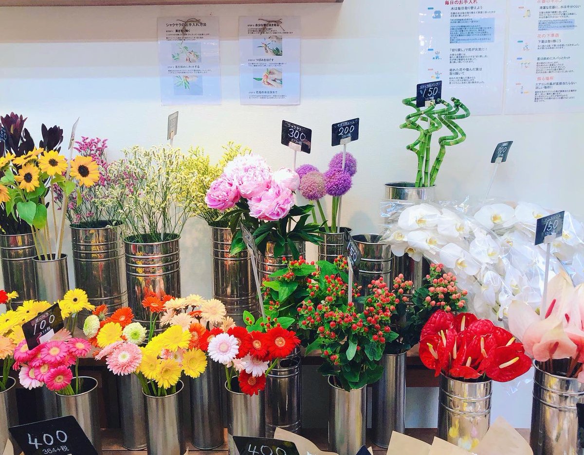 黒沢生花店 今日の花揃え 初夏のお花揃いました もうすぐ父の日ですね たまにはお父さんにお花でも 尼崎市 立花駅 花屋 立花商店街 黒沢生花店 生花 切り花 枝物 アスター カンパニュラ レースフラワー ヒペリカム ひまわり