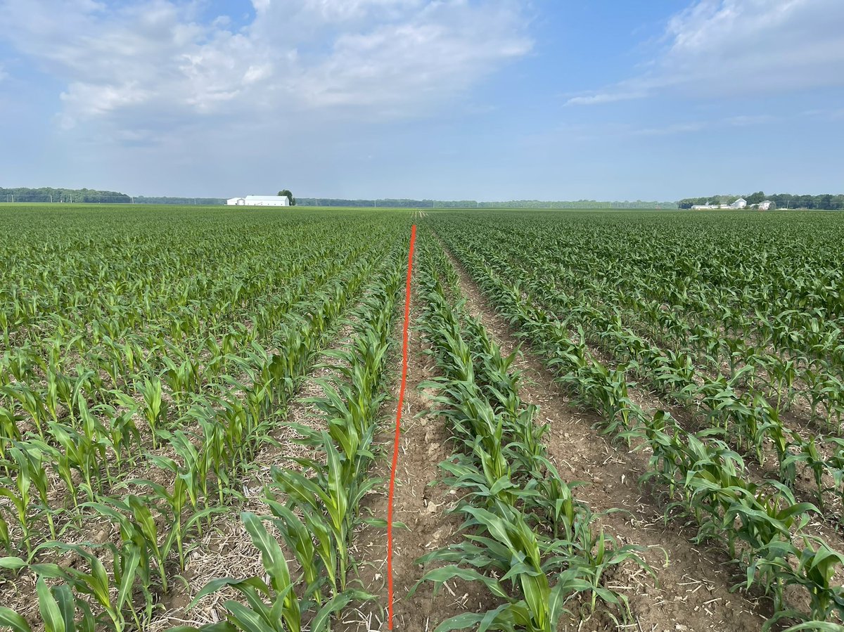 Left side mysterious starter… right side, AgSpectrum #MaximumFarming program - Clean Start/Kickoff/Grozyme 28% Sulphur, all year there’s been a notable color difference, ready to do some root digs see what’s going on below ground