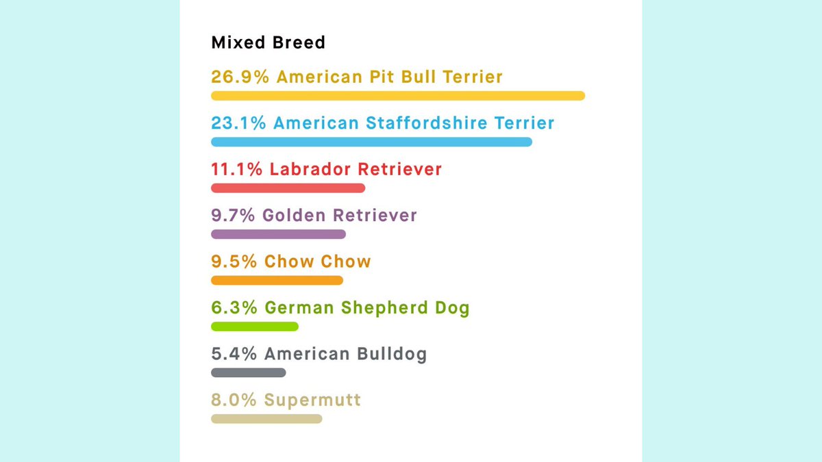 embarkvet's tweet photo. Toughest #MondayMatch to date! Can you match the Embark breed results correctly?
1. Bella
2. Kira
3. A
4. B
Check back tomorrow to see if you got it right!
🧬 Use code DECODED50 to save $50 on a Breed + Health Kit 👉 https://t.co/IdadlqYm7e
#EmbarkDecoded #EmbarkVet https://t.co/uaIBbApDGq
