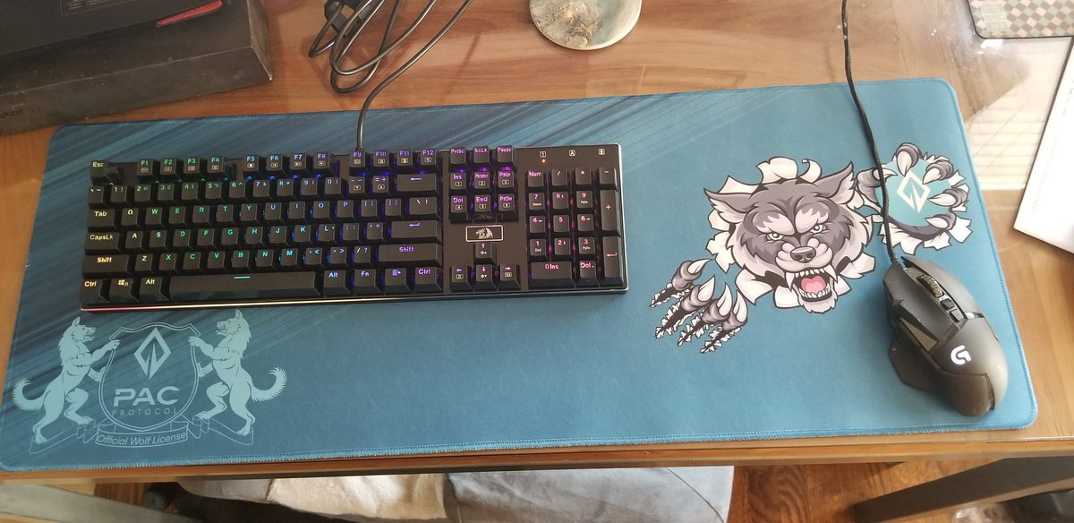 trappensteve's tweet image. Thats whats up! #PACMat. @PACcoinOfficial