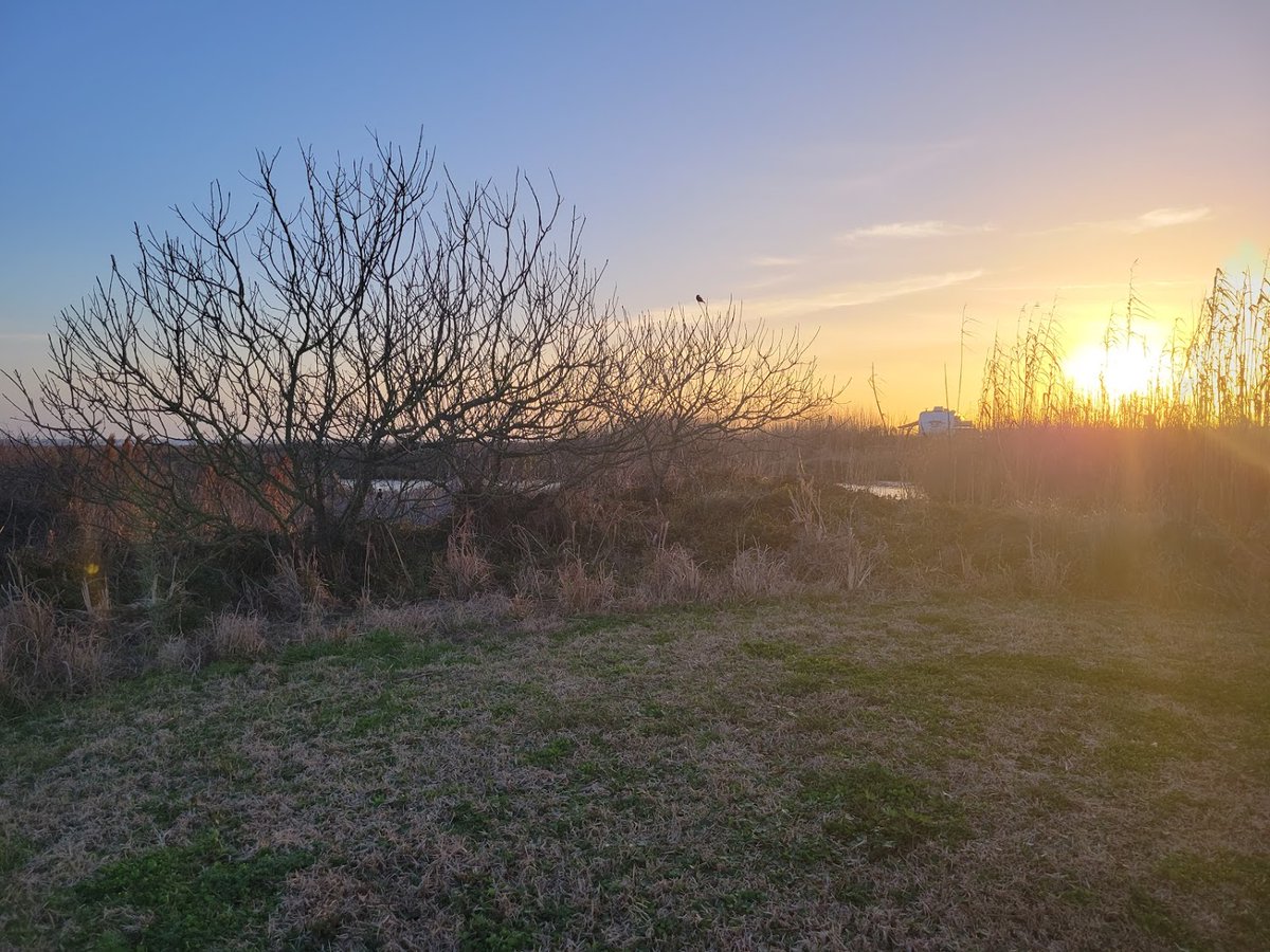 “Life does not come with instructions on how to live, but it does come with trees, sunsets, smiles and laughter, so enjoy your day.”- Debbie Shapiro

#mondaymindfulness #rvlife #rvlifestyle #rvcamping #glamping #rvrental #rvplusyou #gorving #searimstatepark #texas #homeonwheels