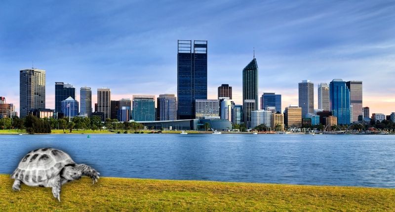 ThePropTribune's tweet photo. Perth's long weekend slows sales
@REIWA reported a 17% dip in Perth's sales activity during the short week
#Perth #PropertyStock #RealEstate
https://t.co/zrzznNdJQ1 https://t.co/pxcqypHqFh