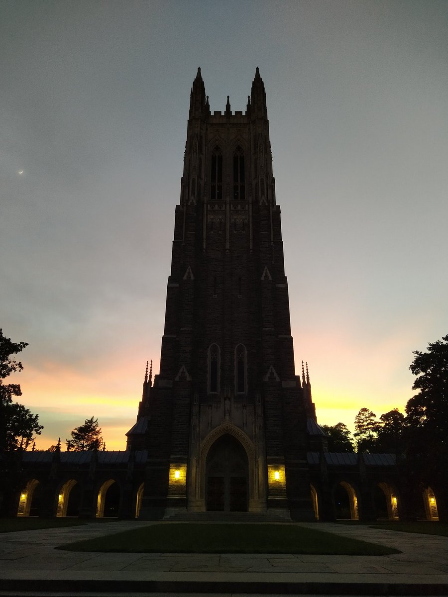 Arti Dumbrepatil tweet media