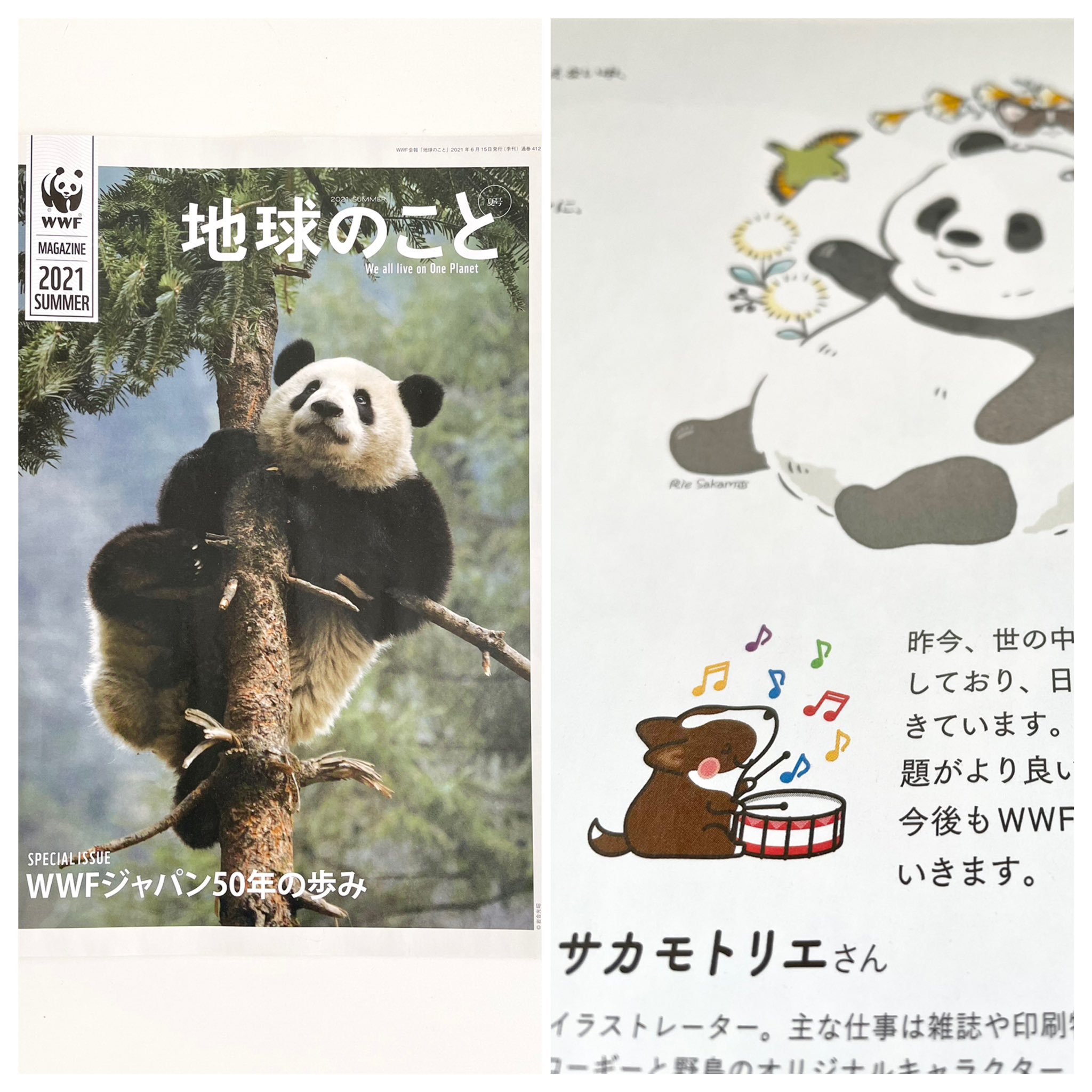 サカモトリエ イラストレーター 公財 Wwfジャパン様 地球のこと 会報誌イラスト制作のお仕事をさせていただきました Wwfジャパン設立50周年記念として シンボルのパンダ 日本固有種で絶滅の危機にあるオガサワラカワラヒワ そして私のオリジナル