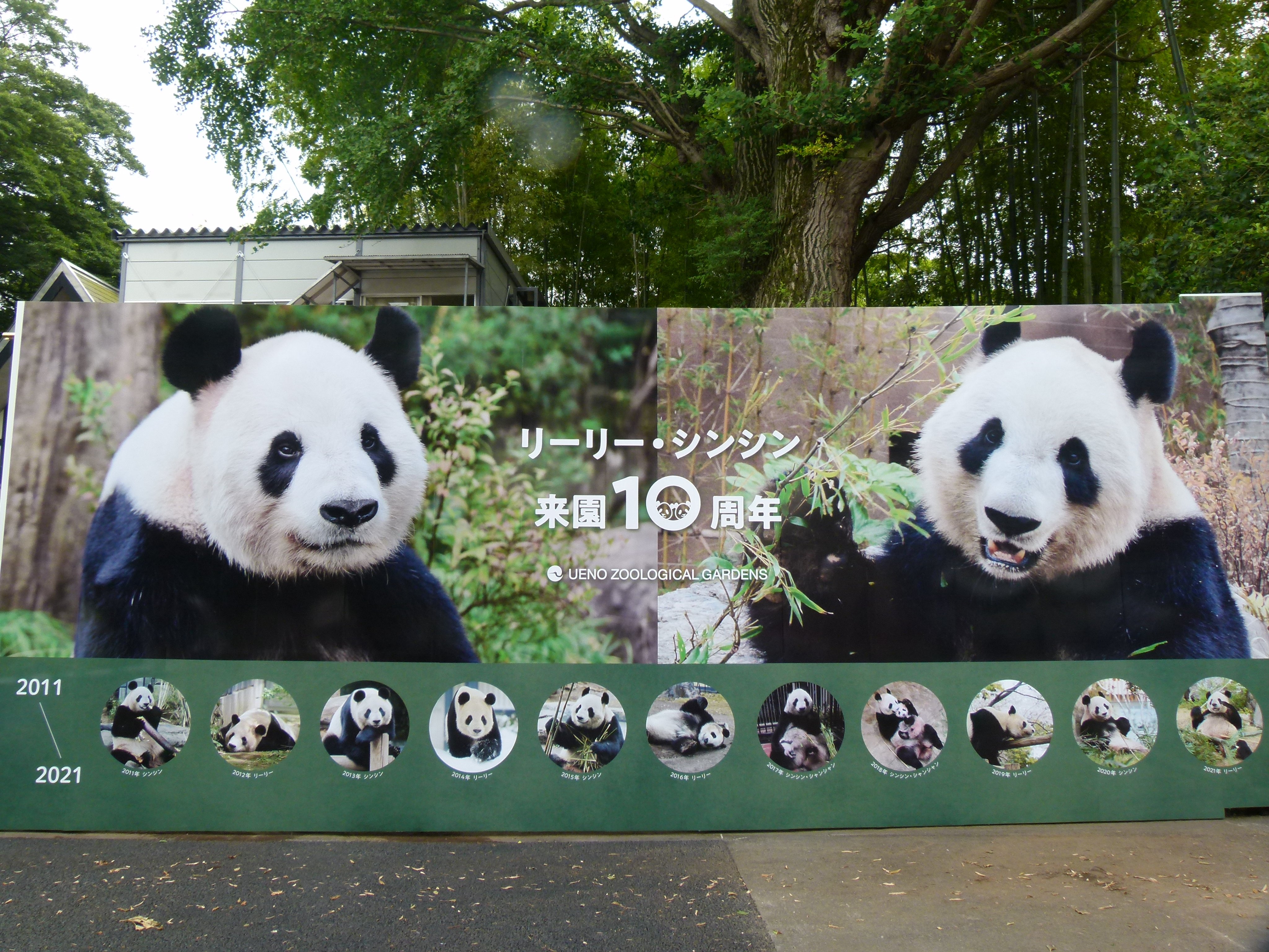 上野動物園［公式］ on X: 