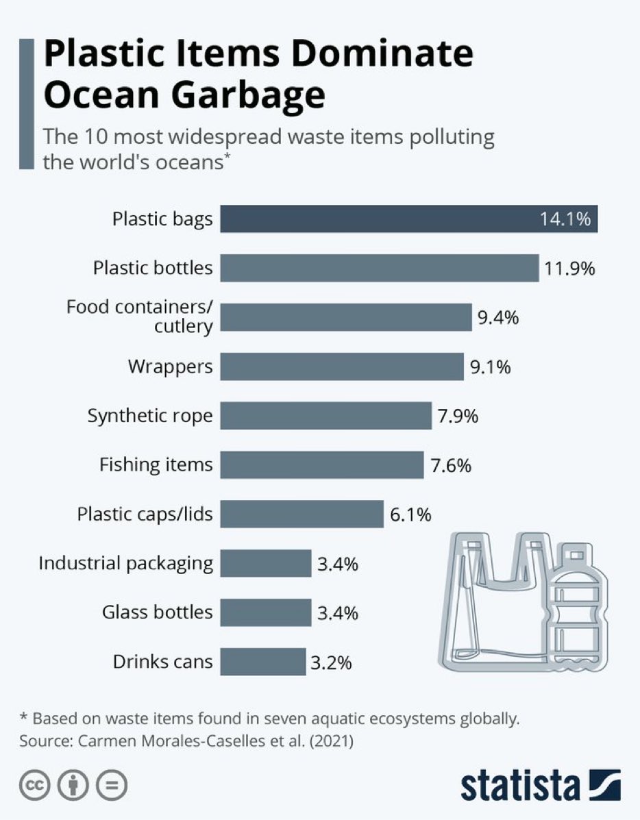 ValaAfshar's tweet image. 10 most widespread waste items polluting the world’s oceans:

1 plastic bags
2 plastic bottles
3 food containers
4 wrappers
5 synthetic rope
6 fishing items
7 plastic caps
8 industrial packaging
9 glass bottles
10 drink cans