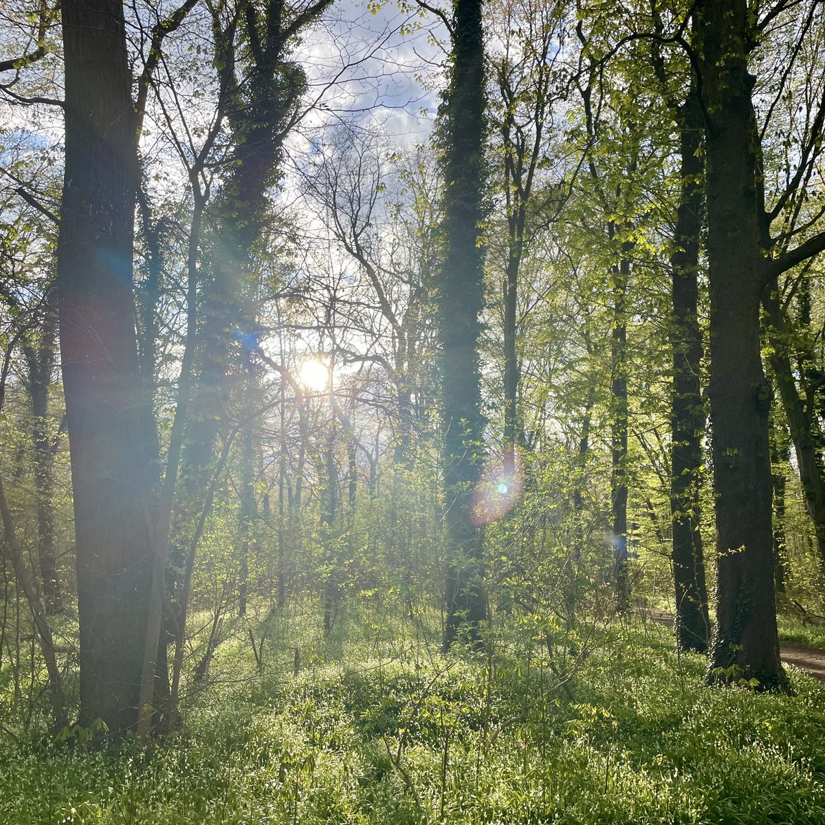 Caroline tweet media