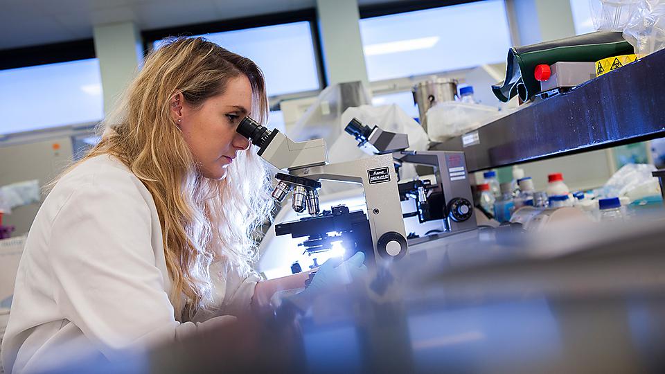 A tool to help postgraduates thrive in their studies while prioritising their mental health has been recognised with a national award.

plymouth.ac.uk/news/national-…