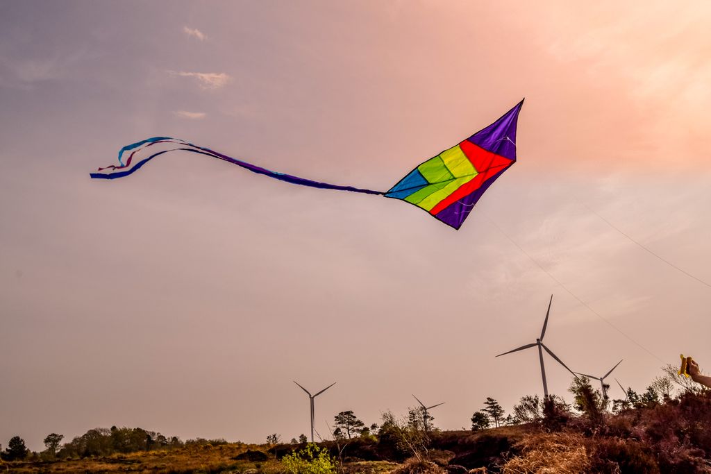 Wind Energy Ireland tweet media