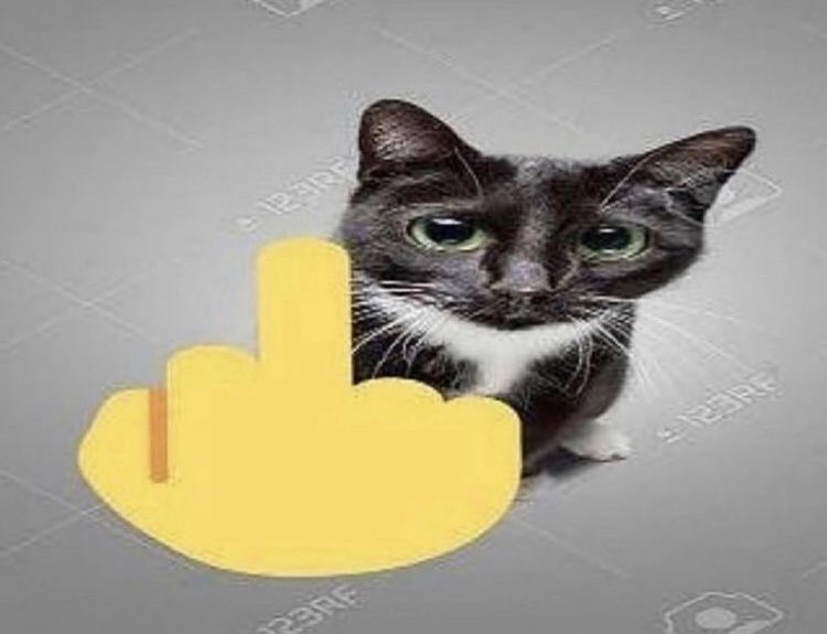 WhosFishyBoi's tweet photo. We need a @oompaville vs @buttritoh fight https://t.co/Yr6Xa4qnk0