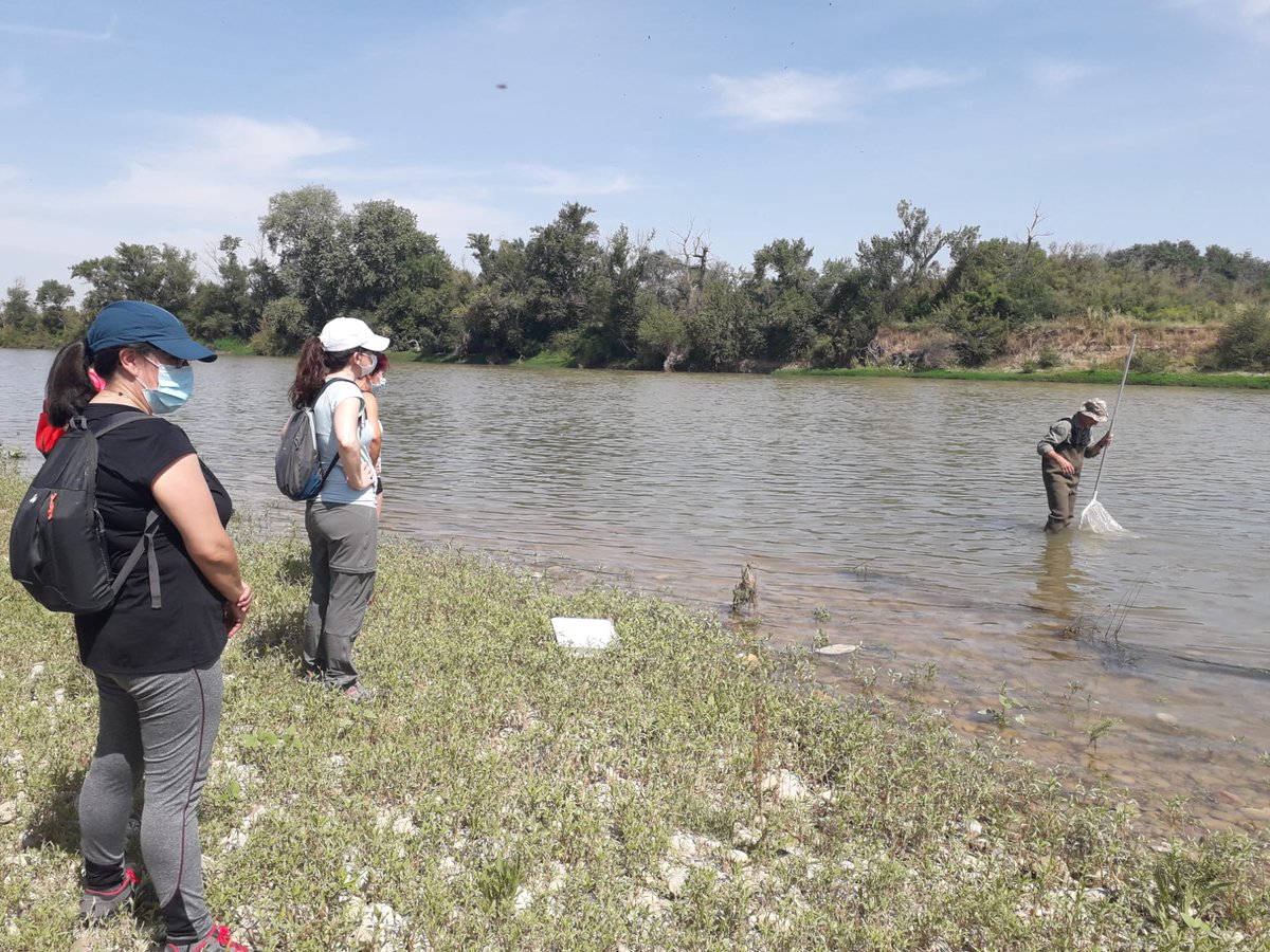 accionporel's tweet photo. El agua de #ríos y lagos pierde oxígeno debido al #calentamientoglobal. Su #biodiversidad es un buen indicador cualitativo, porque lo sufre y desaparece, agravado por vertidos industriales y extracción de caudales para uso agrícola. #aguaparalosrios #riosconvida #stopvertidos https://t.co/anF39YdoAj