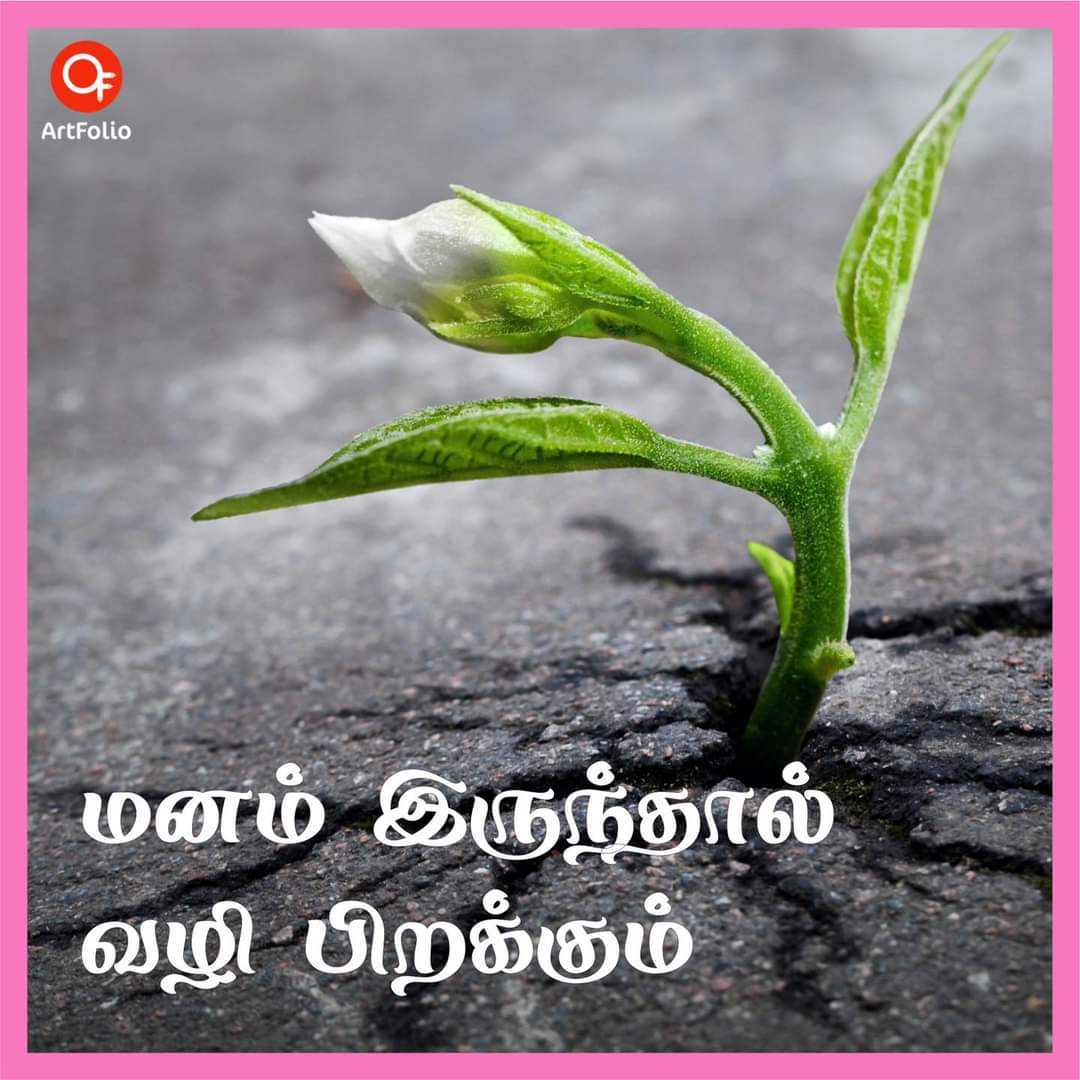 Its_me_Charu's tweet photo. https://t.co/7HIkTgedDs