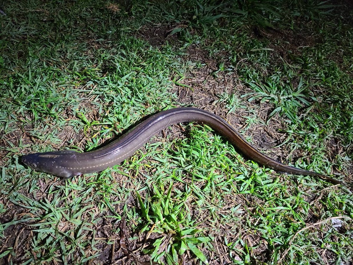 暁ふ頭公園 暁ふ頭公園
