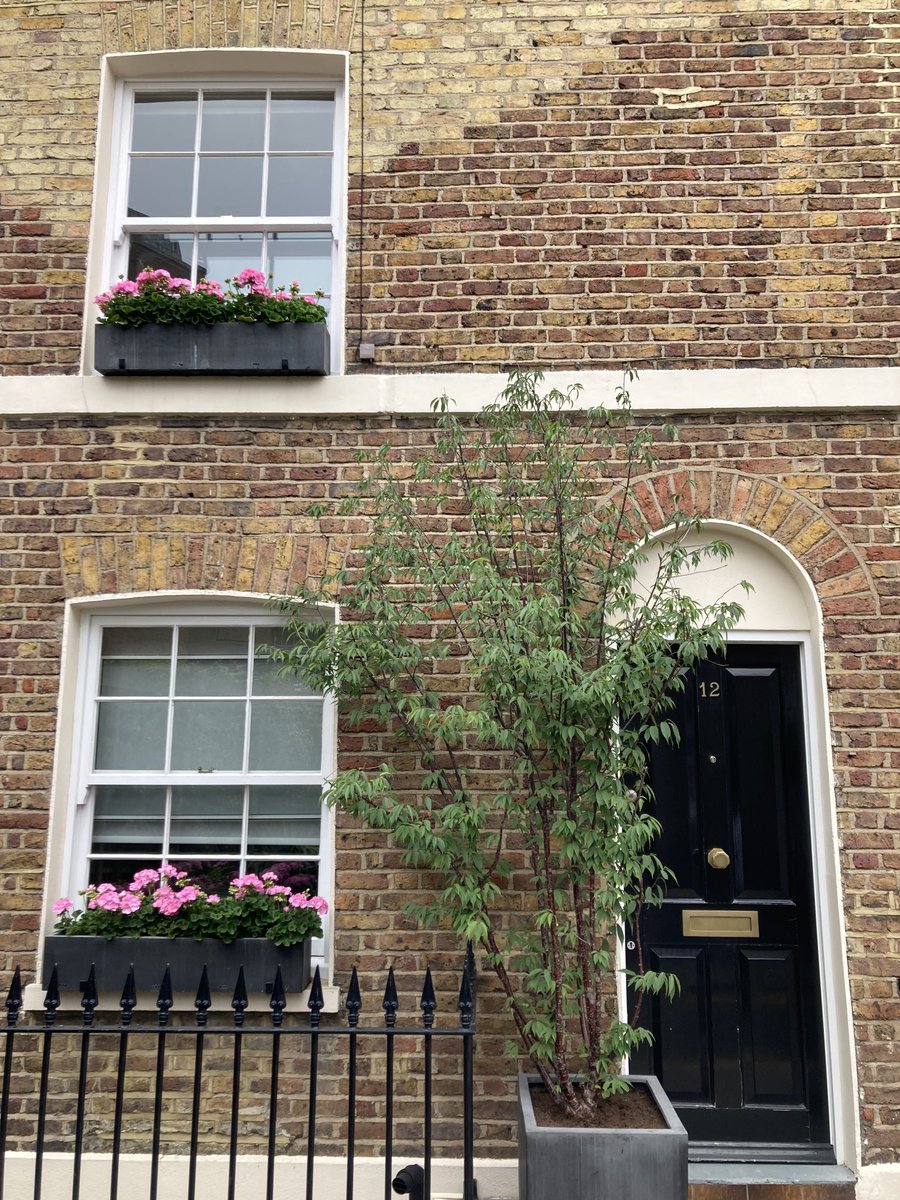 davidsoho1's tweet photo. I’m here in the office Tuesday morning same time same place and off we go again #gottokeeptrying https://t.co/pgkNeU9YmP