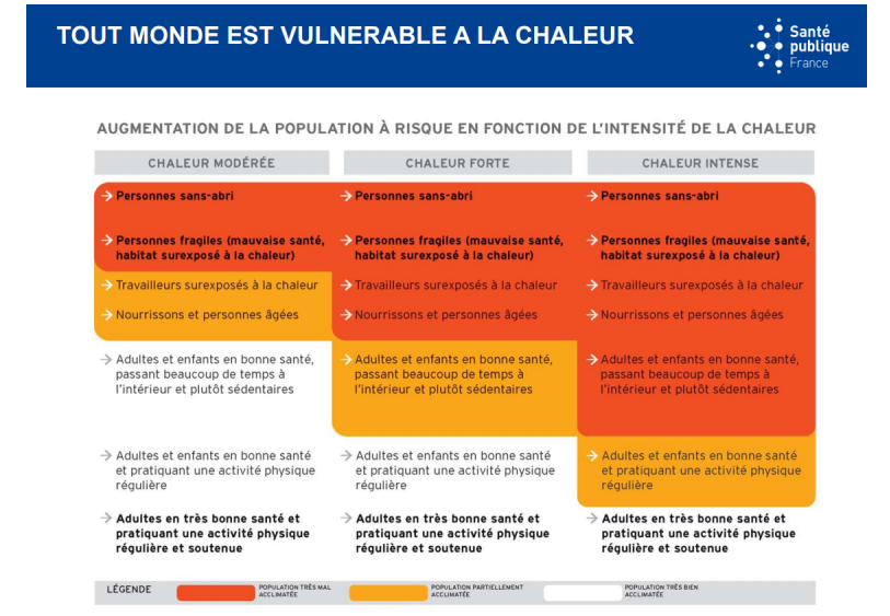 BonPote's tweet photo. 5/7 En préparant l'article, j'ai eu quelques vertiges en lisant les conséquences sur la santé (@meteofrance , @IPCC_CH @Forumeteoclimat ).

Rappel : TOUT LE MONDE EST VULNERABLE A LA CHALEUR : https://t.co/BFeMY8rQHh