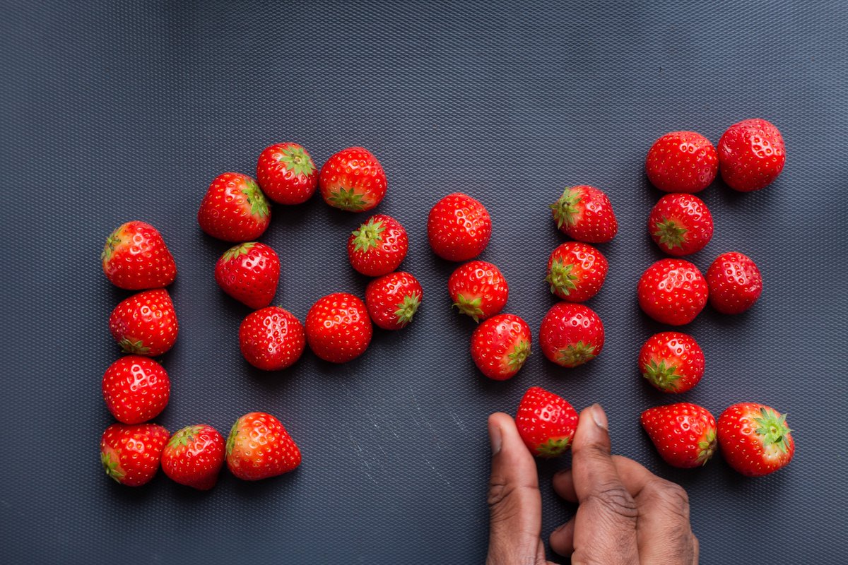 Ecological Culture Initiative tweet media