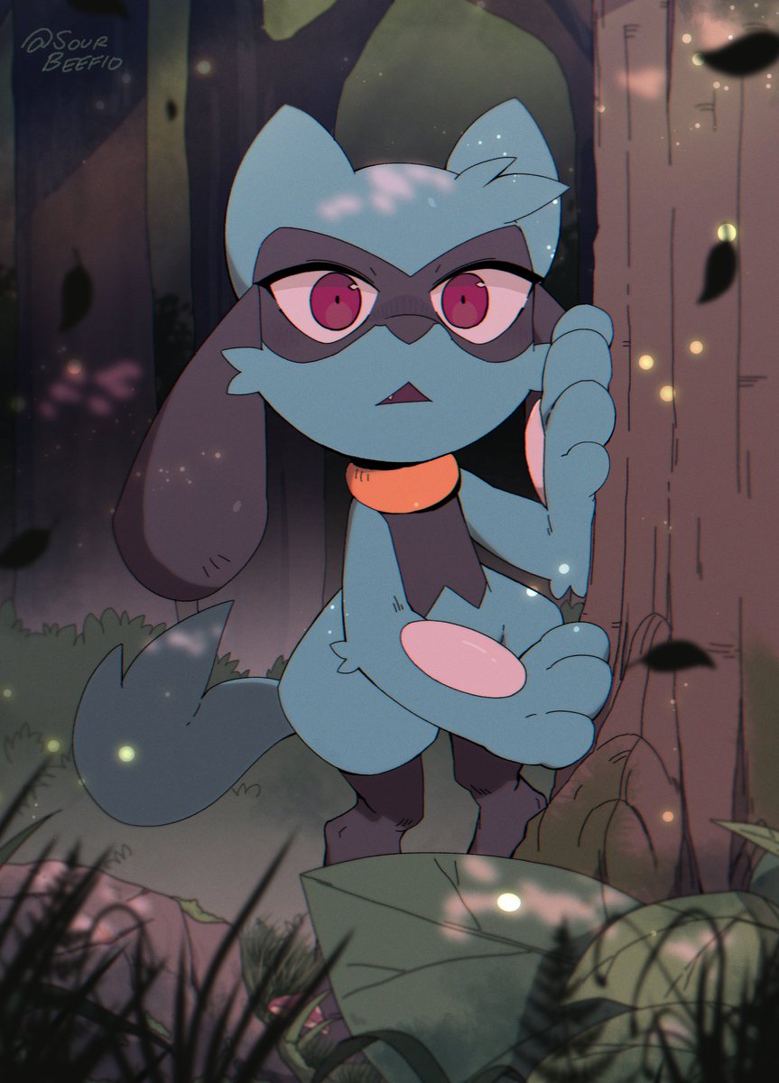 A riolu... How curious