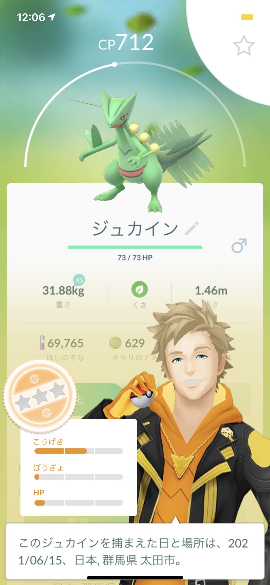 Team ｋ猫 野生ジュカイン初めてみた 個体値 ポケモンgo T Co Taol2vycek Twitter