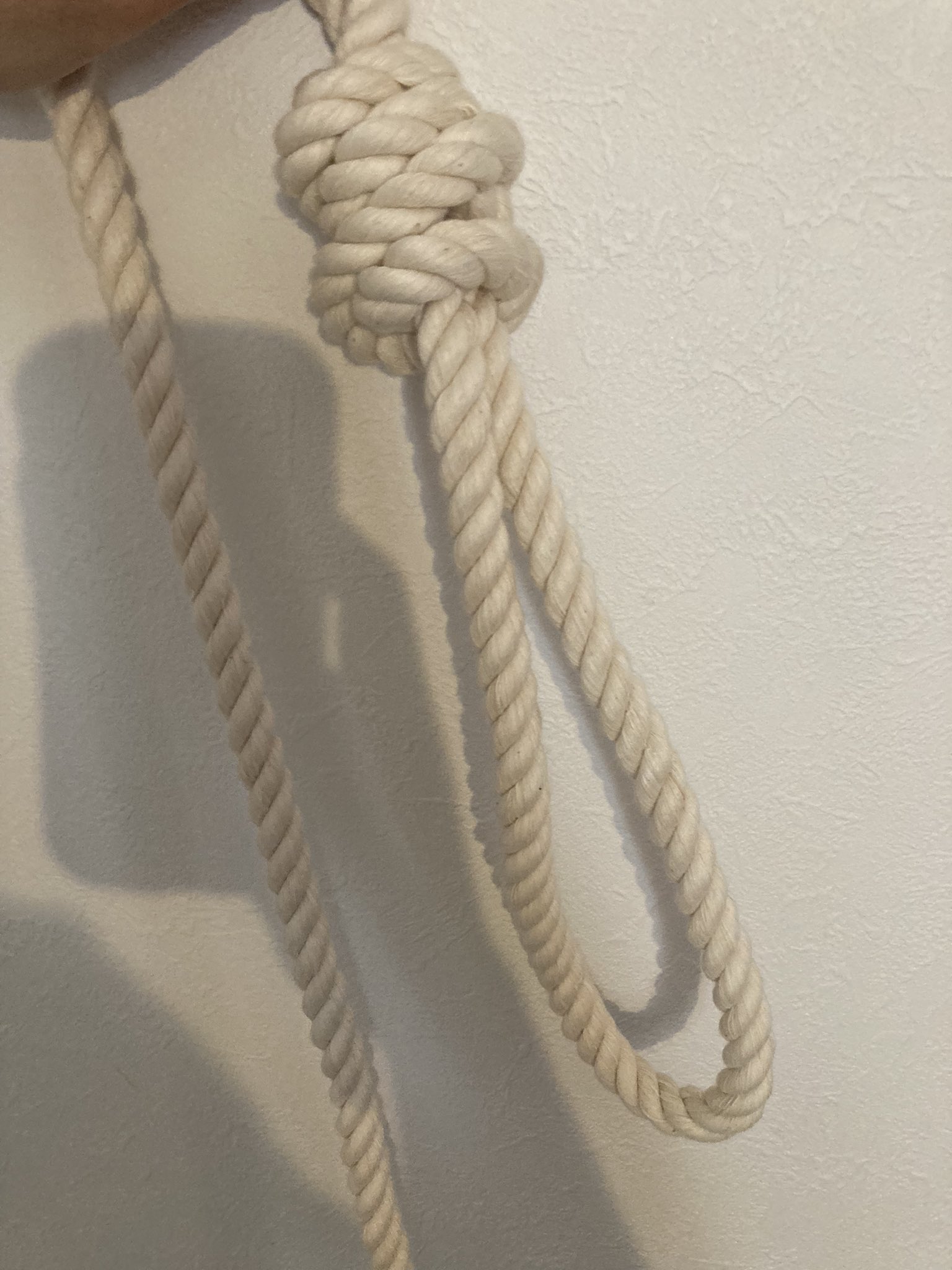 逝きる君 紐届いて作ってみた 首吊り自殺用 T Co W81hyxtkds Twitter