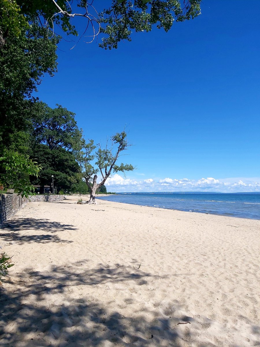 WJaroslawski's tweet photo. Went for 2.5 hour bike ride today to snap some photos along with exercise and sightseeing.🚲📸

#friendshiptrail #portcolborne #forterie #bikeride #Exercise #sightseeing https://t.co/flGND9mwjf