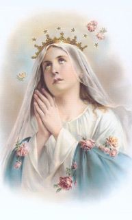 maristarmoon's tweet photo. Our Lady of The Rosary pray for us https://t.co/vk2eu4hR7w