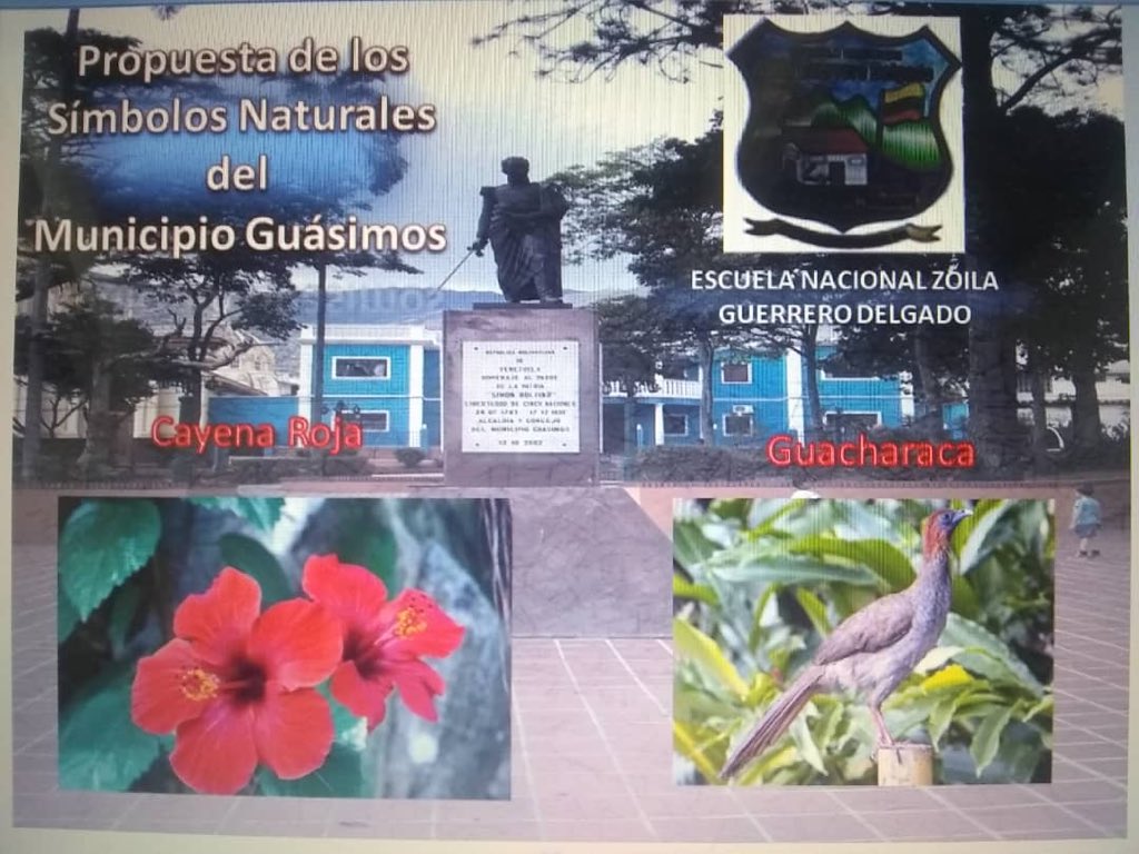 #CulturaYTradicion #Táchira El sector educativo del Municipio Guásimos, presenta las propuestas para Símbolos Naturales del Municipio ✨por los 394 Años de la Fundación del Pueblo de Guásimos 🌳Parte 1