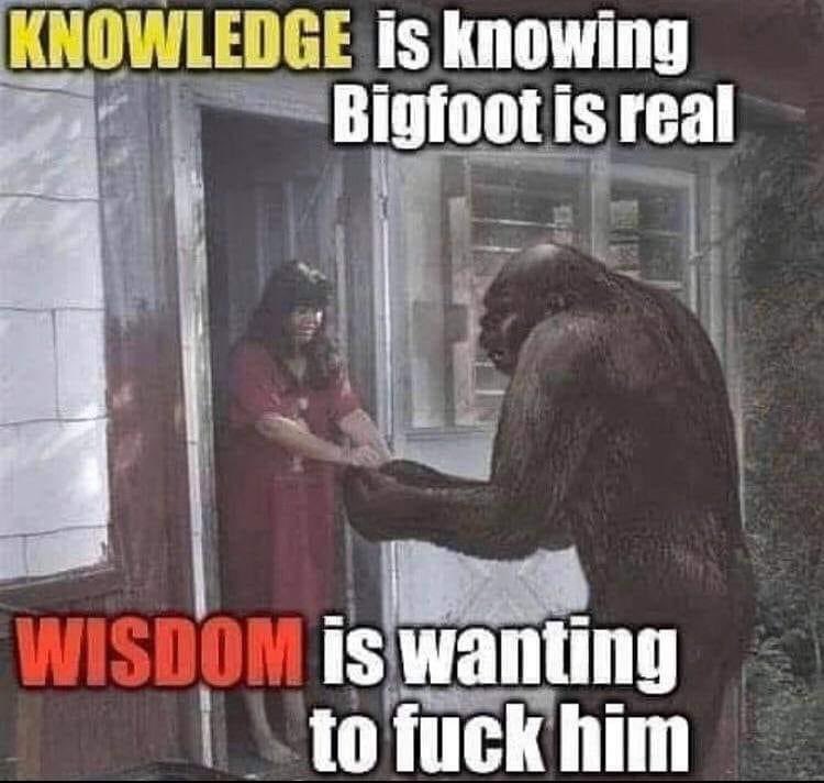 SuicidalTommy's tweet image. 