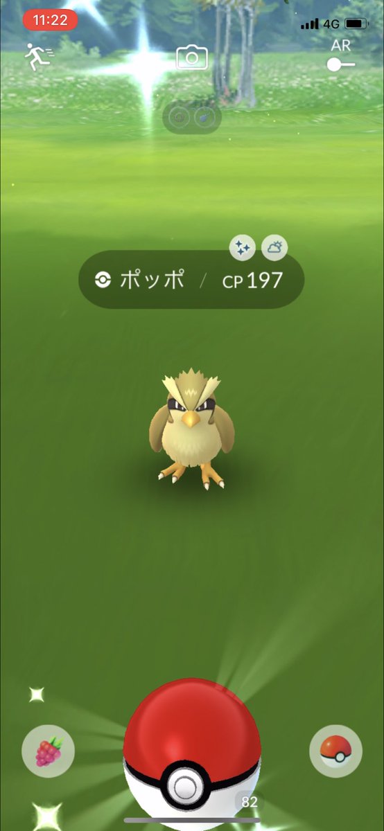 ポケモンgo ポッポの色違い 入手方法と実装状況 攻略大百科