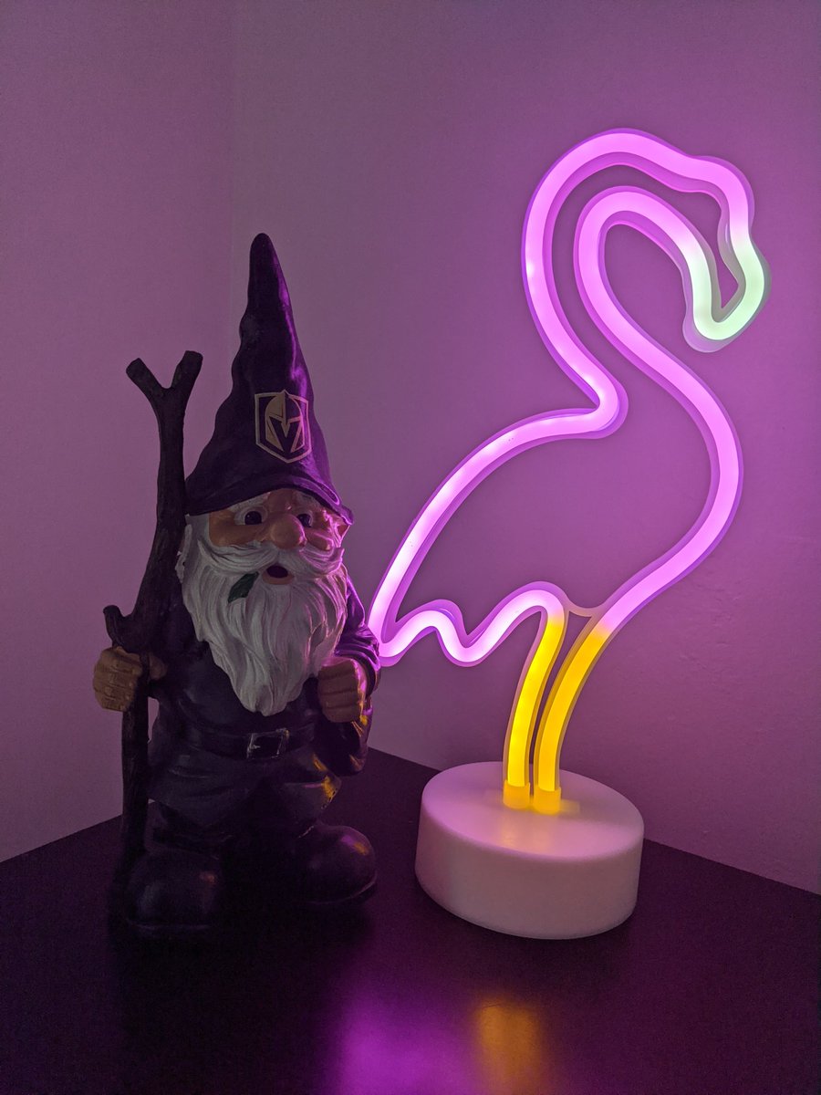 Kylie_Kiel's tweet image. Flamingos flying with our GKnight!
Awesome game! Way to start the series!

@VGKFlamingo #VegasBorn 
#VGKTalk #FortressAtHome