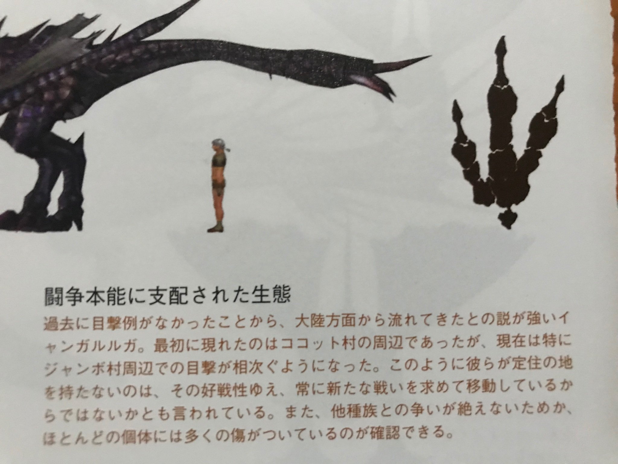 BannedLagiacrus on X: “It’s unknown where Yian Garuga originate 