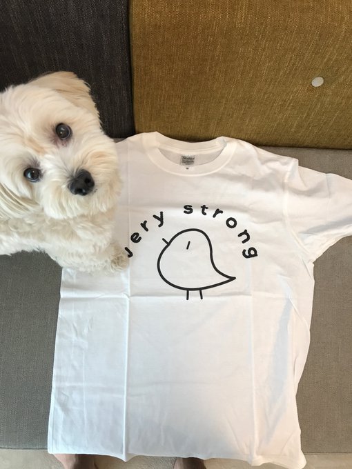 あもあす友達 @kyu_3030 がboothで出してるTシャツ(買った)とそれに襲いかかる犬 