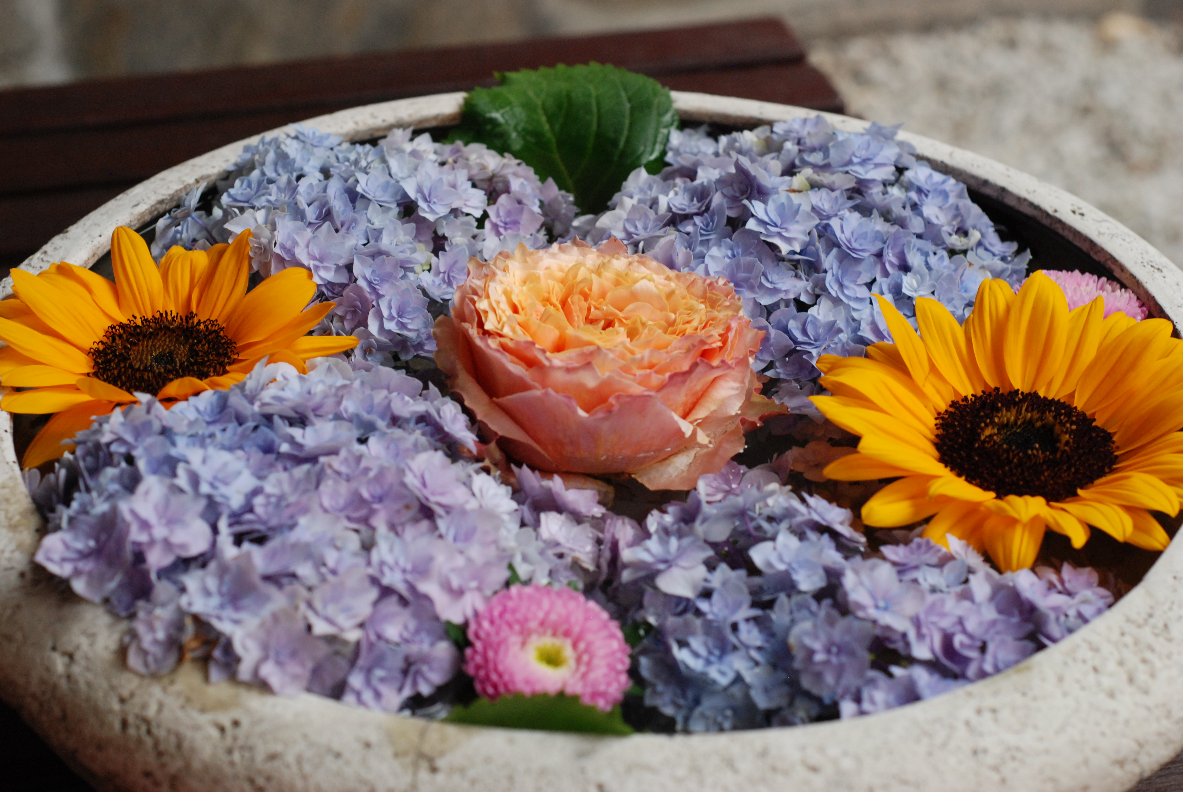 波葉の湯 公式 中庭に置いてある花手水のご紹介です 毎月お花が変わりますので是非季節の変わりをお花で味わってみてください 波葉の湯 花手水 福岡花手水 福岡観光 福岡温泉 福岡天然温泉 福岡岩盤浴 ベイサイドプレイス博多 みなと温泉