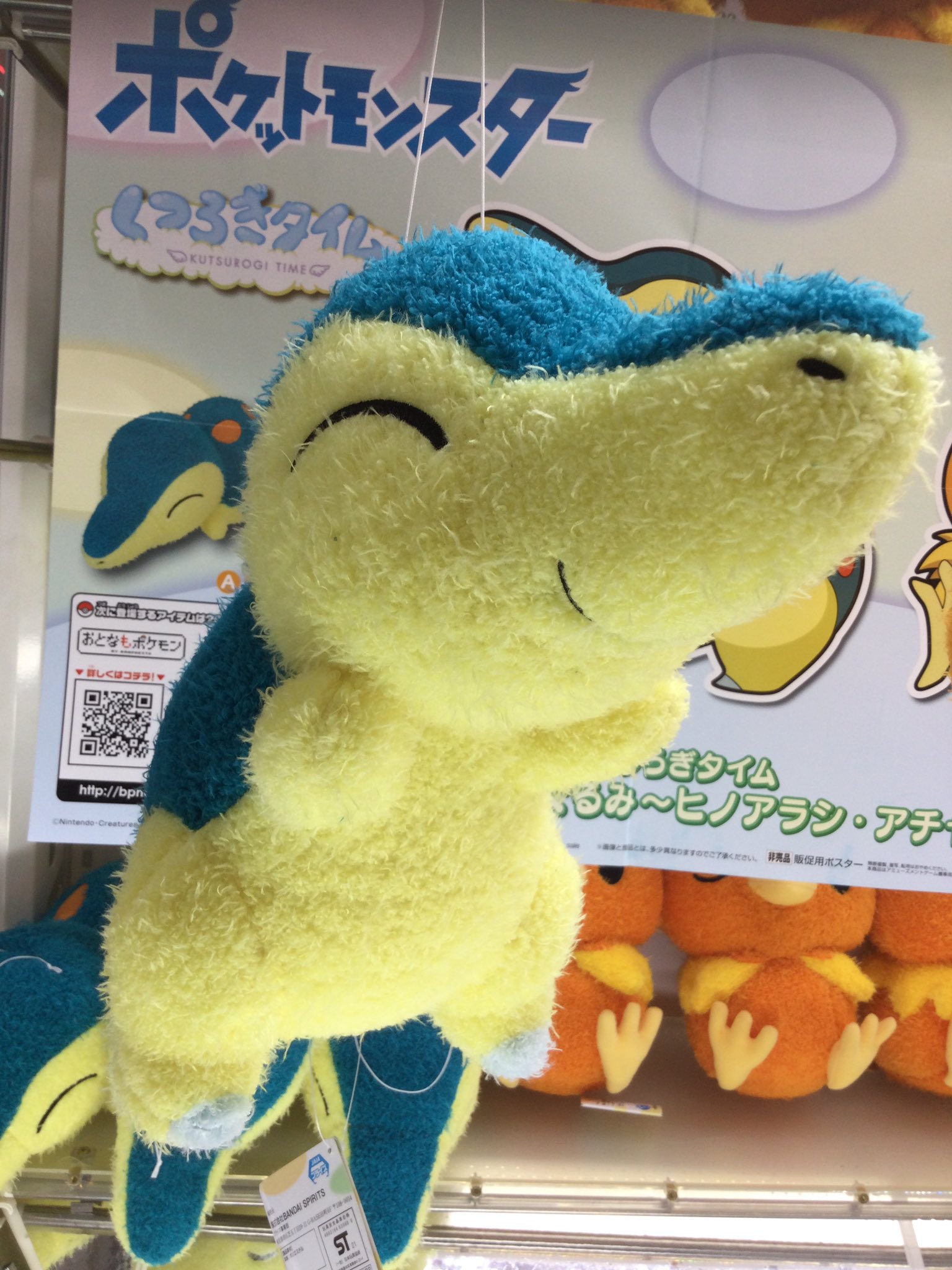 Twitter এ Gigo 池上 景品情報 ポケットモンスター くつろぎタイム でっかいぬいぐるみ ヒノアラシ アチャモ 入荷致しました 今も根強い人気を誇るポケモンより ヒノアラシとアチャモの大きなぬいぐるみが登場です 是非getしちゃって下さい ポケモン