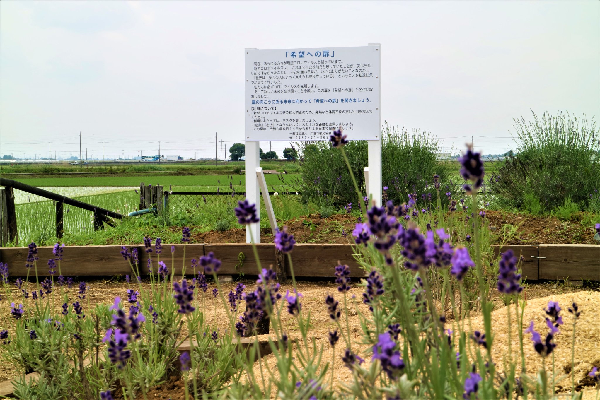 一般社団法人 久喜市観光協会 希望への扉 扉の向こうにある未来に向かって 希望への扉 を開きましょう 新しい未来に 明るい未来に 願いをこめて 彡 T Co I0dxiidt4b 久喜 菖蒲
